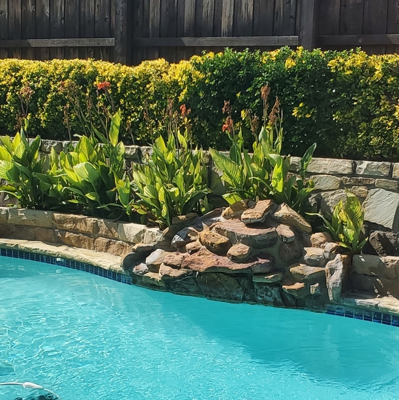 Meet your Posher, Erica - Picture 3 of 3